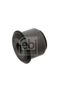 Supporto, Corpo assiale febi-bilstein