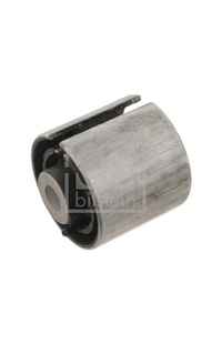 Supporto, Corpo assiale febi-bilstein