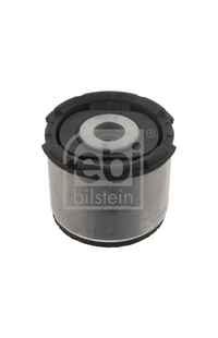 Supporto, Corpo assiale febi-bilstein