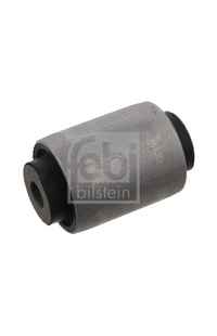Supporto, Corpo assiale febi-bilstein