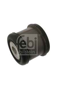Supporto, Corpo assiale febi-bilstein