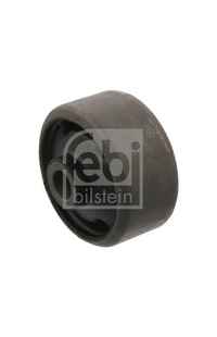 Supporto, Corpo assiale febi-bilstein