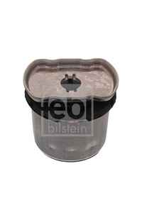 Supporto, Corpo assiale febi-bilstein