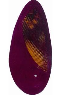 GRUPPO OTTICO POSTERIORE ARANCIO ROSSO LATO DESTRO (PASSEGGERO) depo