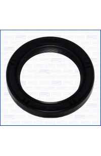 Paraolio, Albero a camme ajusa