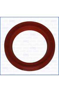 Paraolio, Albero a camme ajusa