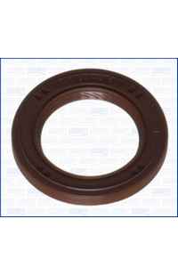 Paraolio, Albero a camme ajusa