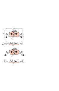 Kit pastiglie freno, Freno a disco TRW 161-GDB2126