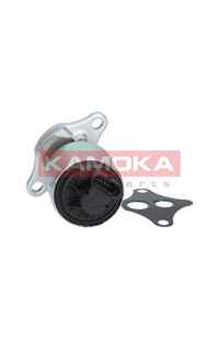 Valvola ricircolo gas scarico-EGR kamoka
