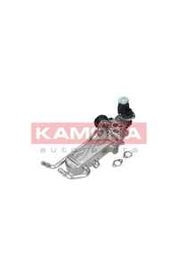 Modulo EGR kamoka