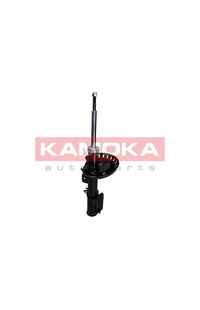 Ammortizzatore kamoka