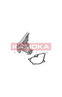 Pompa acqua kamoka