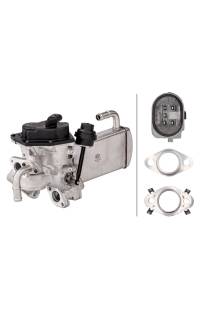 Modulo EGR hella