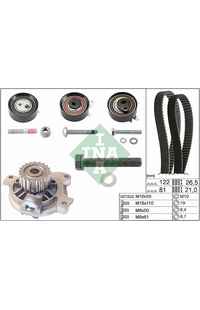 Pompa acqua + Kit cinghie dentate INA