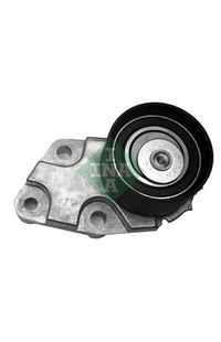 Rullo tenditore, Cinghia dentata INA