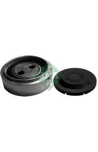 Rullo tenditore, Cinghia Poly-V INA