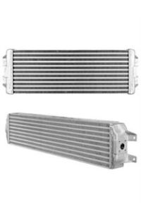 Ammortizatore pneumatico, Cofano bagagli /vano carico nrf