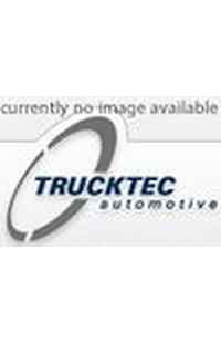 Lamiera paraspruzzi, Disco freno TRUCKTEC AUTOMOTIVE