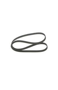 Cinghia Poly-V bosch