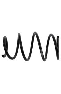 Molla autotelaio sachs