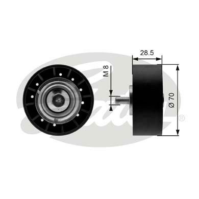 Galoppino/Guidacinghia, Cinghia Poly-V GATES 33-T36211