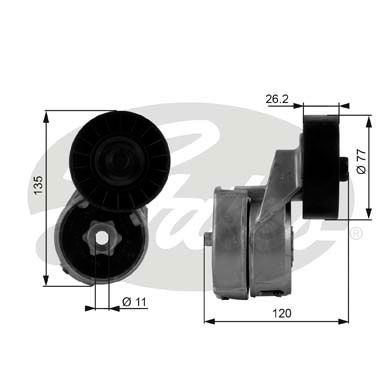 Rullo tenditore, Cinghia Poly-V GATES 33-T38443
