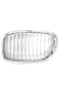 griglia anteriore autozona