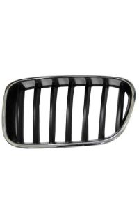 griglia anteriore autozona