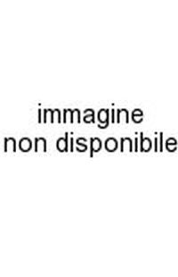 griglia paraurti autozona