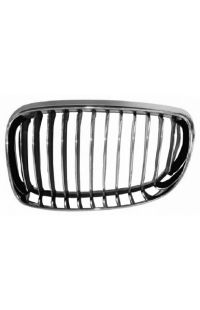 griglia anteriore sinistra autozona