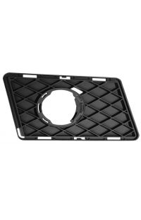 griglia paraurti autozona