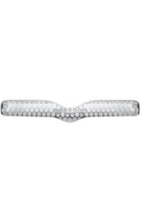 griglia crom autozona