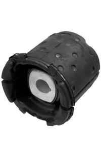 Supporto, Supporto assale LEMFÖRDER