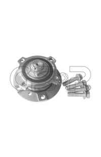 Kit cuscinetto ruota GSP