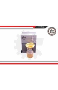 Imp. alimentazione carburante ESEN SKV