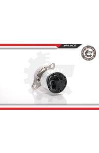 Valvola ricircolo gas scarico-EGR ESEN SKV