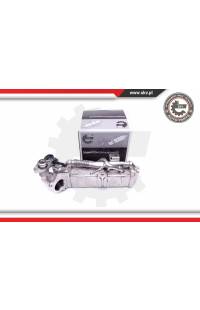 Radiatore, Ricircolo gas scarico ESEN SKV