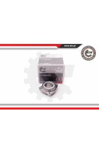 Kit cuscinetto ruota ESEN SKV