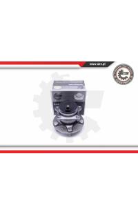 Kit cuscinetto ruota ESEN SKV