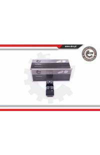 Interruttore, Alzacristallo ESEN SKV