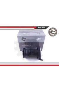 Molla pneumatica, Autotelaio ESEN SKV