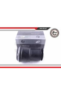 Molla pneumatica, Autotelaio ESEN SKV