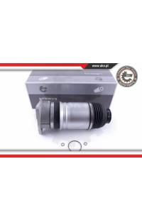 Molla pneumatica, Autotelaio ESEN SKV