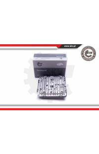 Centralina, Illuminazione ESEN SKV