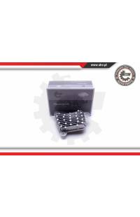 Centralina, Illuminazione ESEN SKV