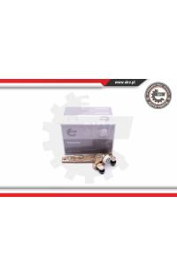 Guidarullo, Porta scorrevole ESEN SKV