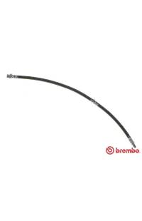 Tubo elastico del freno brembo