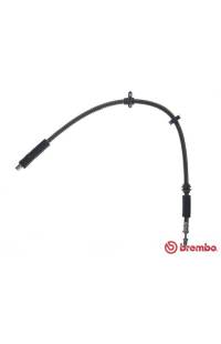 Tubo elastico del freno brembo