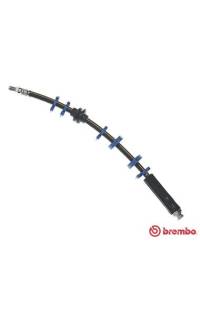 Tubo elastico del freno brembo