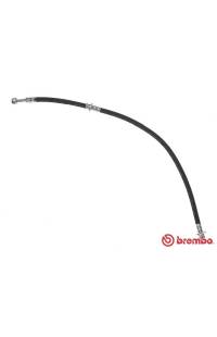 Tubo elastico del freno brembo